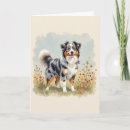 Suche nach herdenhund karten Aussie