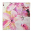 Suche nach hawaiianer fliesen Plumeria