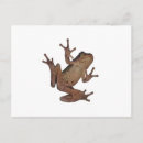 Suche nach frosch postkarten Einzigartig