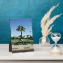 Suche nach palme fotoplatten Tropen