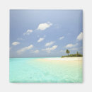 Suche nach insel magnete Landschaft