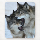 Suche nach grauer wolf mousepads Natur