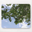 Suche nach ahornbaum mousepads Blätter