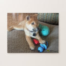 Suche nach shiba puzzle Welpe