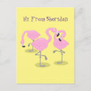 Suche nach florida cartoon postkarten Flamingo