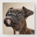 Suche nach tierthemen wanduhren Fotografie