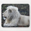 Suche nach löwe foto mousepads Tiere