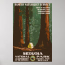 Suche nach sequoia poster Nationalpark