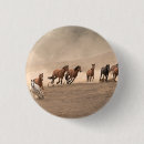 Suche nach pferd buttons Land