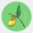 Suche nach gelbe orchideen aufkleber Natur