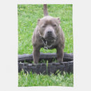 Suche nach maler geschirr tücher Hund
