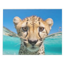 Suche nach gepard notizblock Tier