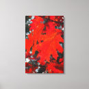 Suche nach ahornbaum leinwandbilder Blätter