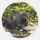 Suche nach schwarzbär aufkleber Tierwelt