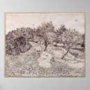 Suche nach olivenbäume van gogh poster Landschaft