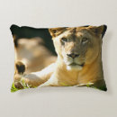 Suche nach löwe dekokissen Wild