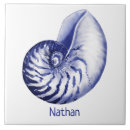 Suche nach nautilus fliesen Strandhaus