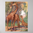 Suche nach afrikanische giraffe poster Savanne