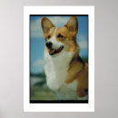 Suche nach welsh corgi poster Hund