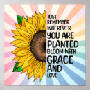 Suche nach sonnenblume poster Zitat