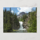 Suche nach wolf foto postkarten Natur