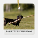 Suche nach dackel weihnachtsbaum ornamente Hunde