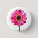 Suche nach gerbera buttons Rosa