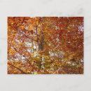 Suche nach orange blatt postkarten Jede person