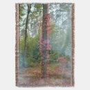 Suche nach efeu decken Natur
