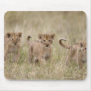Suche nach savanne mousepads Natur