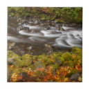 Suche nach tanne fliesen Wald