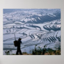 Suche nach rice poster Field