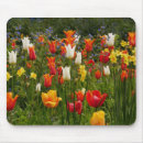 Suche nach weiße tulpen mousepads Rot