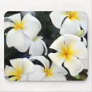 Suche nach blumengeschenke mousepads Blumenphotographie
