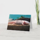 Suche nach albino karten Jede person