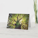 Suche nach irland landschaft karten Baum