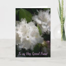 Suche nach beziehung karten Frauen