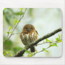 Suche nach sorglos mousepads Ruhige szene