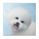 Suche nach bichon frise fliesen Für alle