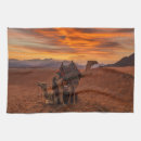 Suche nach bactrian Camel