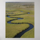Suche nach okavango poster Wildtiere