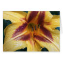 Suche nach wassertröpfchen postkarten Fotografie