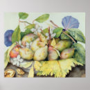 Suche nach frucht stillleben poster Veg