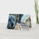 Suche nach guter job karten Für ihn