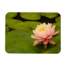 Suche nach tau magnete Natur