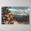Suche nach obstgarten poster Presse