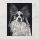 Suche nach papillons postkarten Illustration