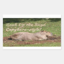 Suche nach strahlen aufkleber Lustig