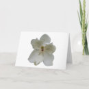 Suche nach magnolie karten Elegant