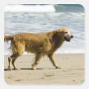 Suche nach nass aufkleber Hund